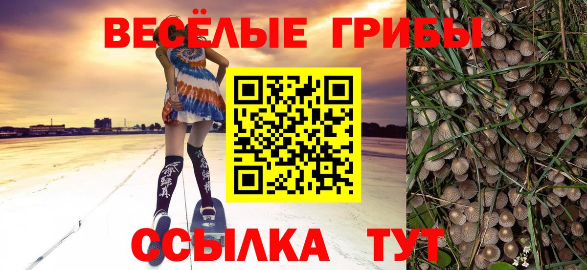 Псилоцибиновые грибы мицелий Невинномысск