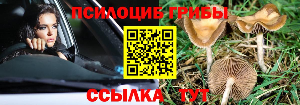 Галлюциногенные грибы Cubensis  Галлюциногенные грибы MAGIC MUSHROOMS  Вход с VPN  Невинномысск 